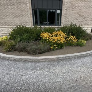 Raj Green Kerb Stone(Fillers)